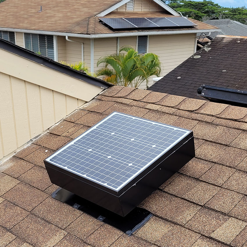 4 Ways You Can Go Solar and Save Energy
